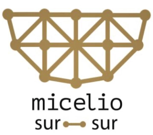 Micelio Sur-Sur